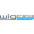 wig france entreprises