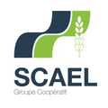 groupe cooperatif scael