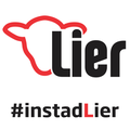 stad lier
