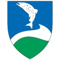ringkbing skjern kommune