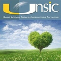 unsic