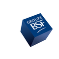 groupe bsf