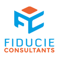 fiducie consultants