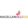 magellanic cloud