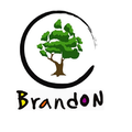 brandon school residential treatment center