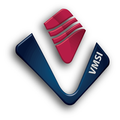 vmsi veterans management services inc