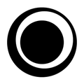 zorkaagency influencer and performance marketing agency