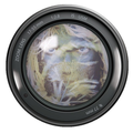 photofax inc