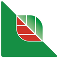 cartonpack group