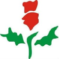 privi speciality chemicals ltd