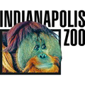 indianapolis zoo