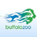 the buffalo zoo