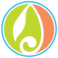 alekhya homes india
