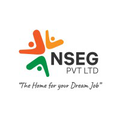 NSEG Pvt. Ltd Logo