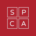 spca montreal