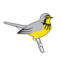 birds canada