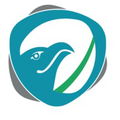 eagle environmental services pest control