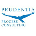 sedgman prudentia