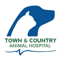 town country animal hospital