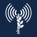 idf spokespersons unit