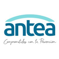 antea servicio de prevencion de riesgos laborales
