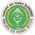 bangladesh rice research institute brri