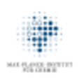 max planck institut fur chemie