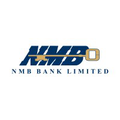 NMBZ Holdings Logo