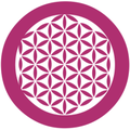 open source management srl