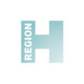 den sociale virksomhed region hovedstaden