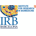 irb barcelona