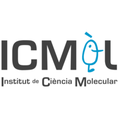 institute of molecular science icmol