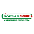 gruppo sopranciodue