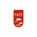 financial action task force fatf