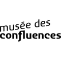 musee des confluences