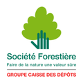 societe forestiere