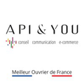 api you agence conseil communication e commerce