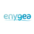 enygea