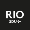 sdu rio