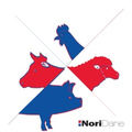 noridane foods as