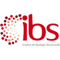institut de biologie structurale ibs