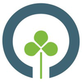 oxalis scop