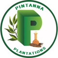 pintanna plantations pvt ltd