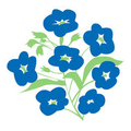 the alzheimer society of ireland