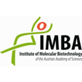 institute of molecular biotechnology