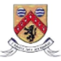 laois county council