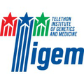 tigem