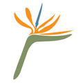 paradise point resort spa