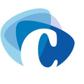 the clingendael institute