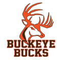 buckeye local schools